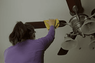 Fan Cleaning